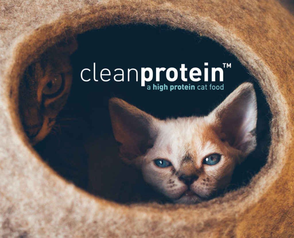 cleanprotein™ a high protein cat food