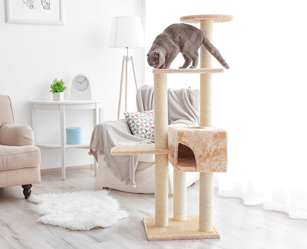 cat on cat tree
