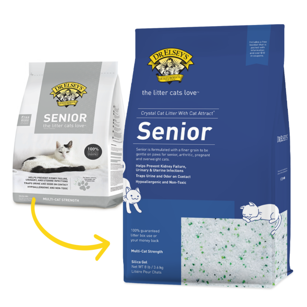 cat eating litter renal failure