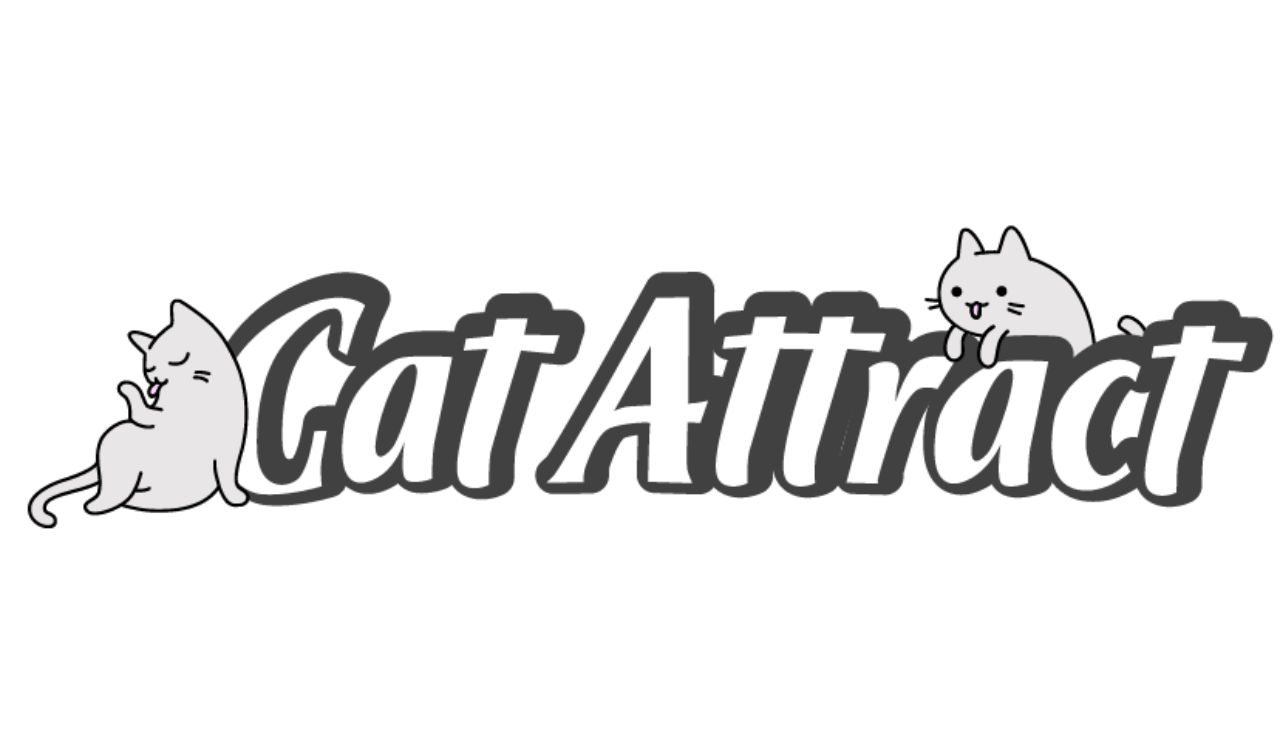 cat attract image