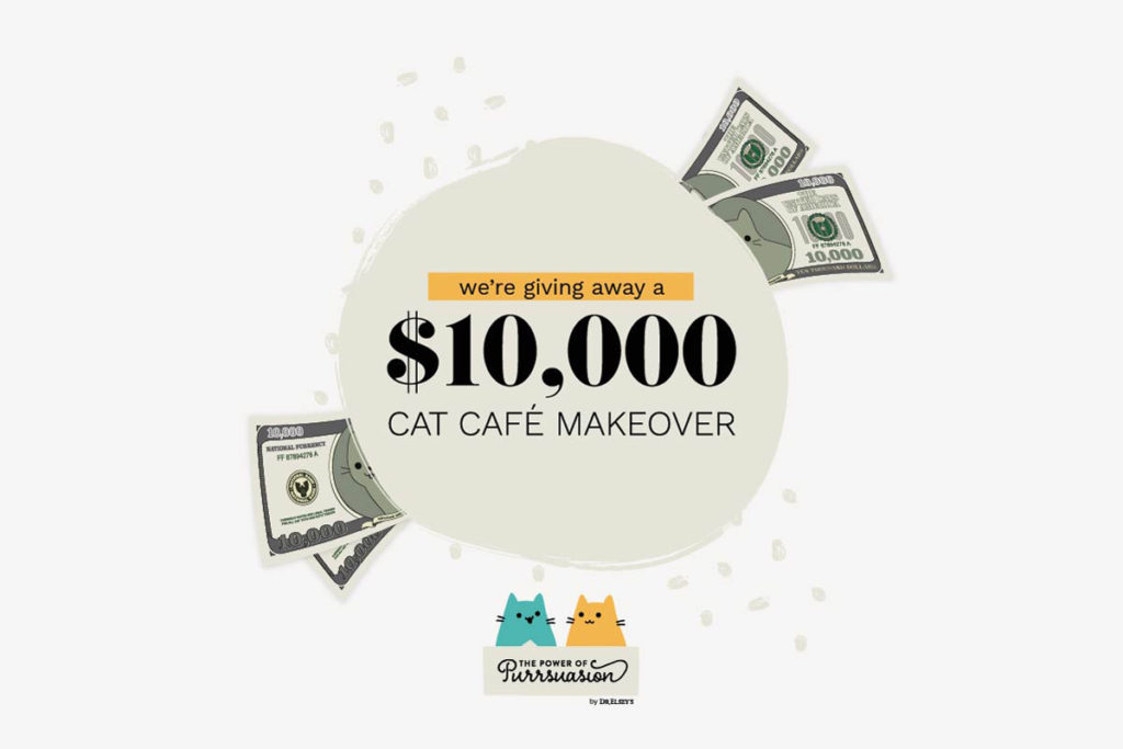 We're giving away a $10,000 cat café makeover!