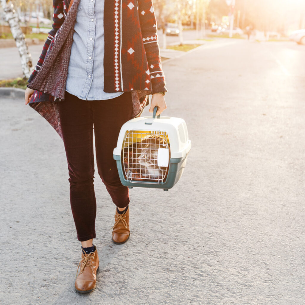 woman walking with cat in cat carrier