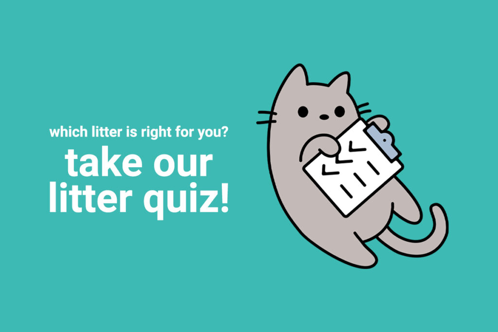 which litter is right for you? take our litter quiz!