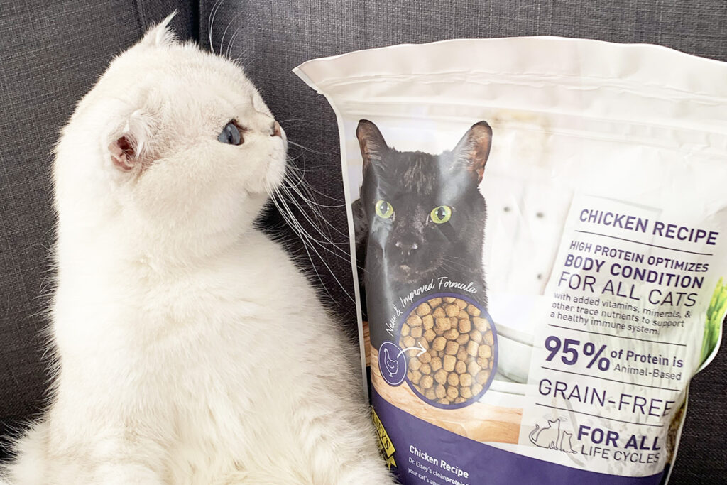 cat looking at bag of cleanprotein™ cat food