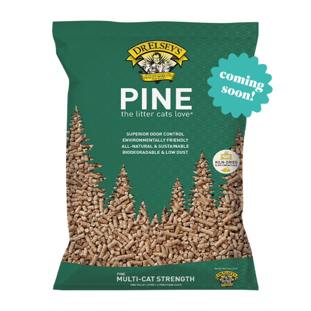 Pine Cat Litter