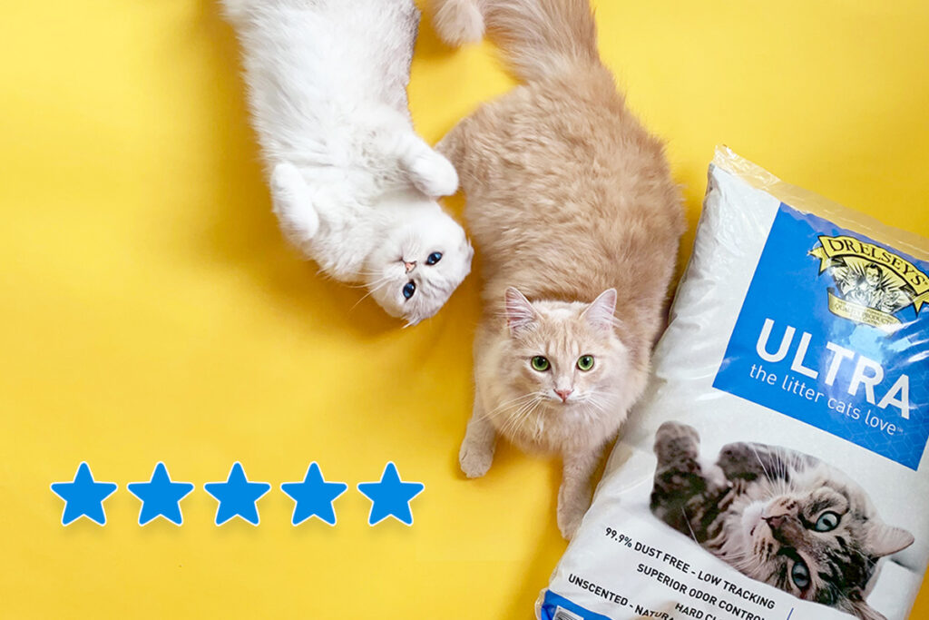 Two cats laying on a yellow background with five blue stars and a bag of litter.