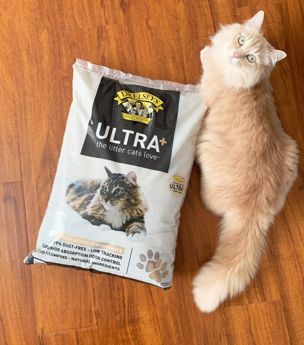 Cat sitting next to bag of Dr. Elsey's Ultra+ cat litter.