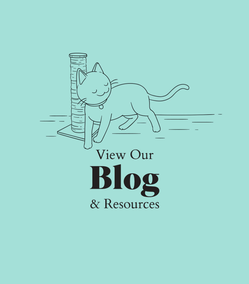 View Our Blog and Resources