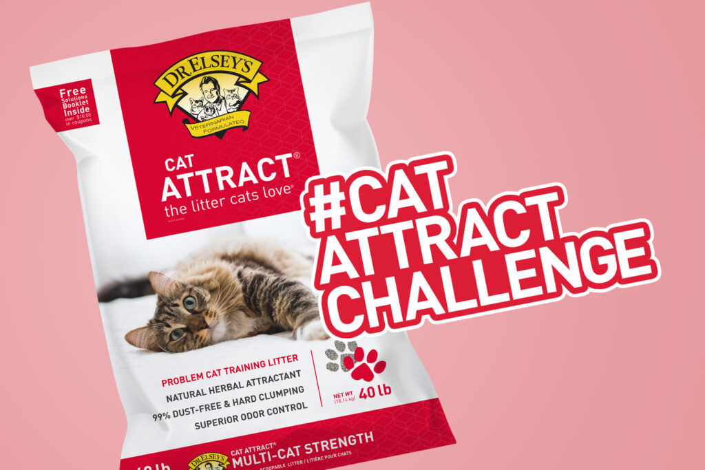 Cat Attract Challenge