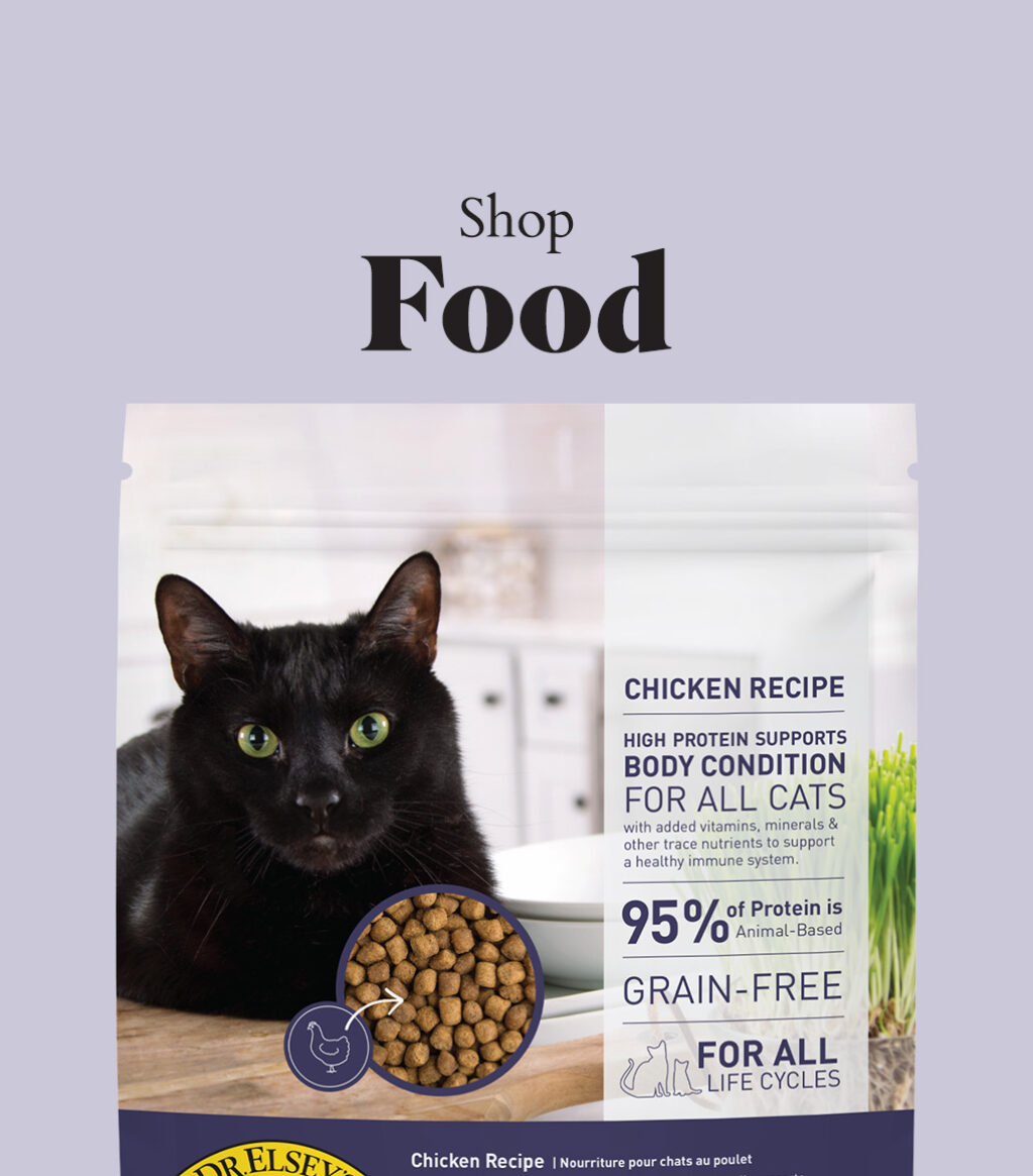 Shop Food