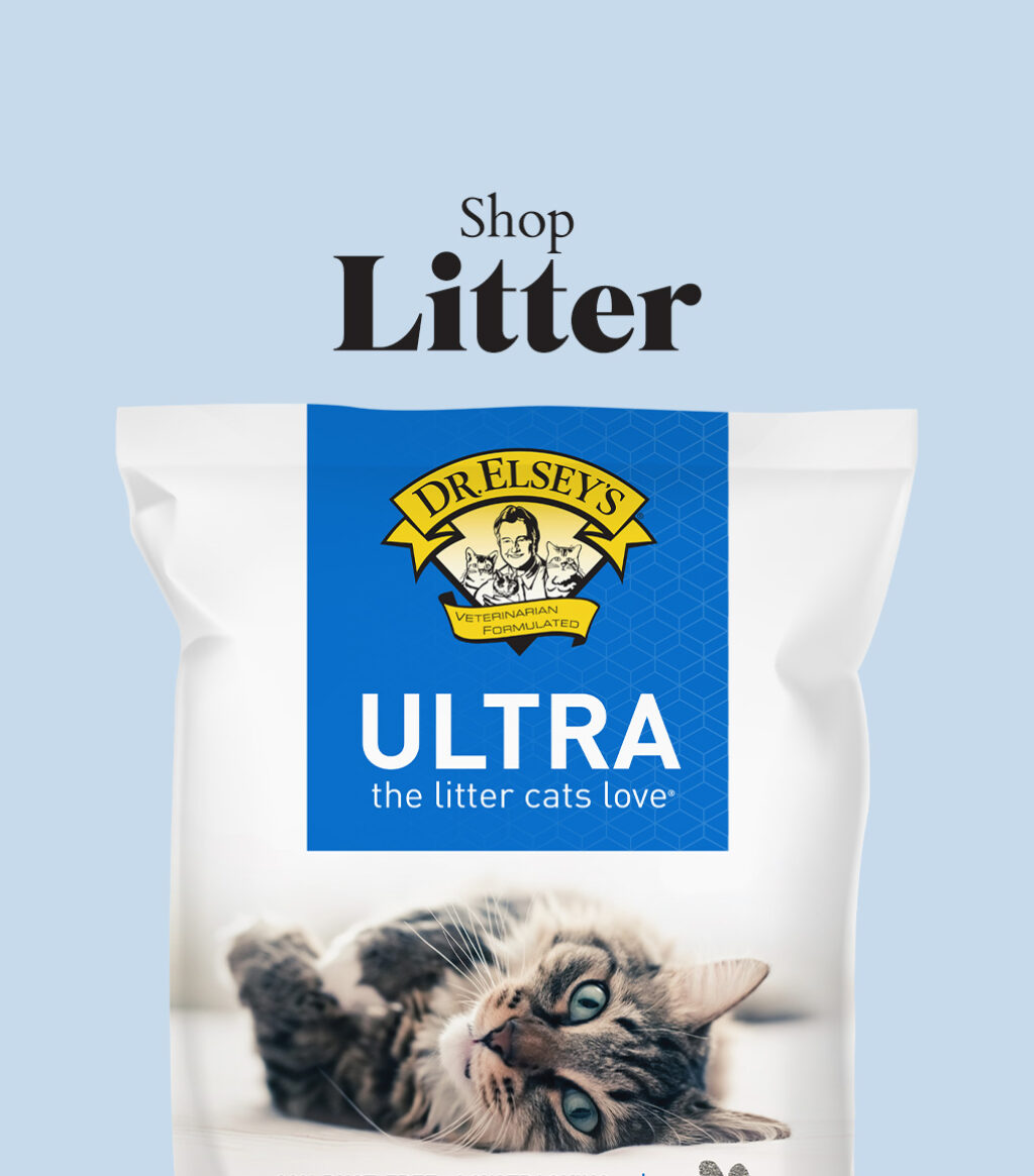 Shop Litter