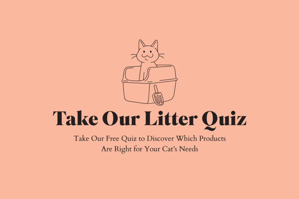 Take Our Litter Quiz - Take Our Free Quiz to Discover Which Products Are Right for Your Cat’s Needs
