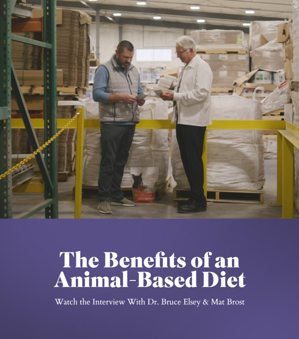 The Benefits of an Animal-Based Diet - Watch the Interview With Dr. Bruce Elsey & Mat Brost
